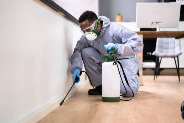 Best Residential Pest Control  in East Islip, NY